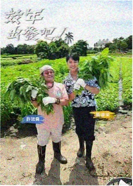 资讯配图：编辑部整理的观剧清单夹